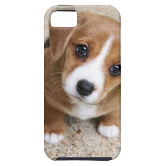 小犬の目 Case-Mate iPhoneケース (裏面)