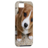 小犬の目 Case-Mate iPhoneケース (裏面/右)