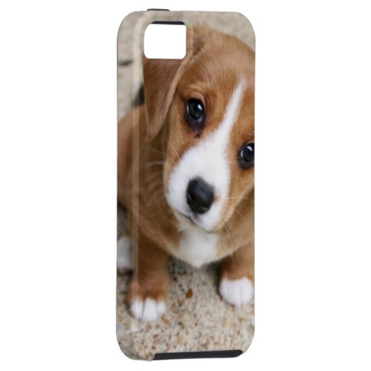 小犬の目 Case-Mate iPhoneケース (裏面/右)