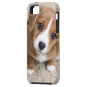 小犬の目 Case-Mate iPhoneケース (裏面左)