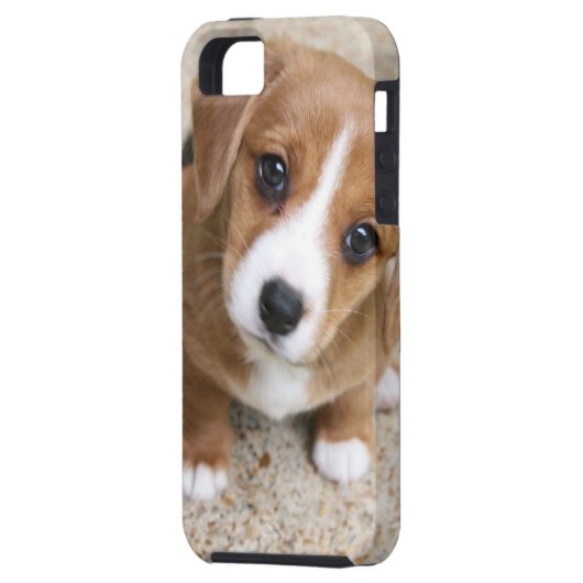 小犬の目 Case-Mate iPhoneケース (裏面左)