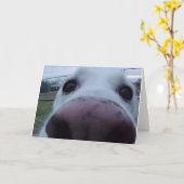 小犬の顔 カード (黄色い花)