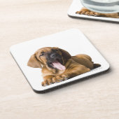 小犬2 コースター (左側)