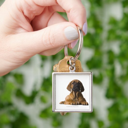 小犬 キーホルダー (手)