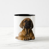 小犬 ツートーンマグカップ (中央)