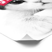 小猫 フォトプリント            (角)