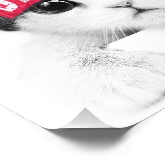 小猫 フォトプリント            (角)