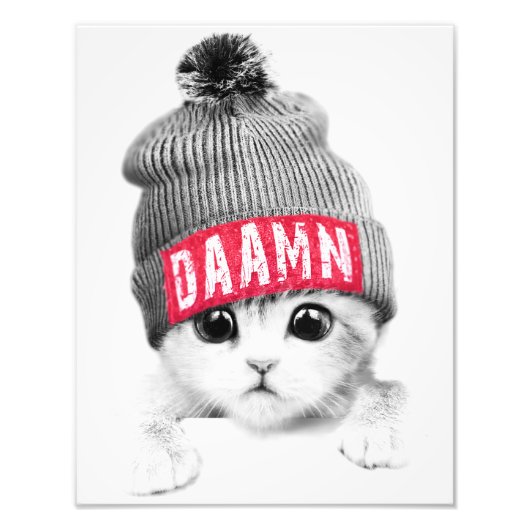 小猫 フォトプリント            (正面)