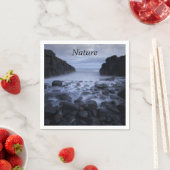 小石と岩の海ショアリンナプキンに沿って スタンダードカクテルナプキン (インサイチュ)