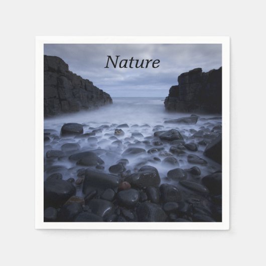 小石と岩の海ショアリンナプキンに沿って スタンダードカクテルナプキン (正面)