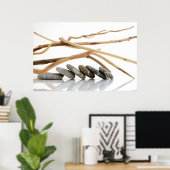 小石と流木 ポスター (ホームオフィス)