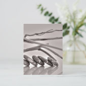 小石と流木 ポストカード (スタンド正面)