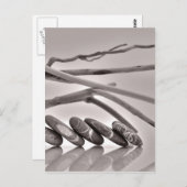 小石と流木 ポストカード (正面/裏面)