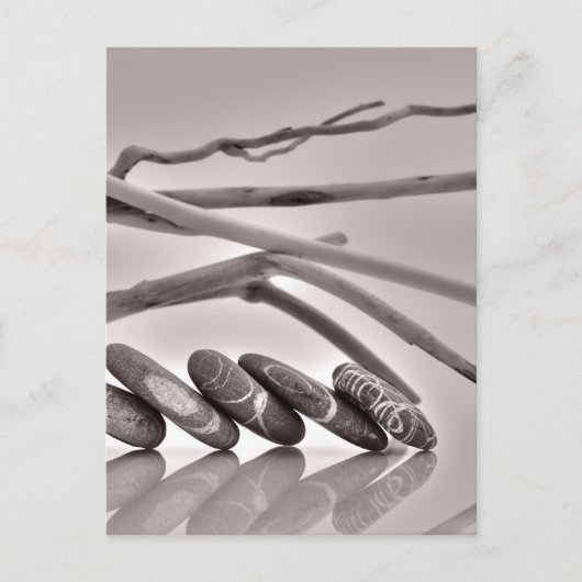 小石と流木 ポストカード (正面)