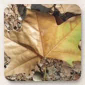 小石と葉 コースター (正面)