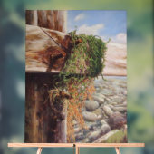 小石と風化した木材で沿岸のシーン。 アクリルサイン (ニュートラル)