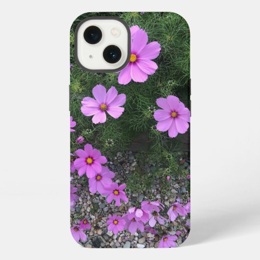 小石の上のコスモス iPhoneケース (裏面)