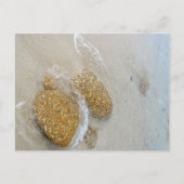 小石 ポストカード (正面)