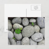 小石 ポストカード (正面/裏面)