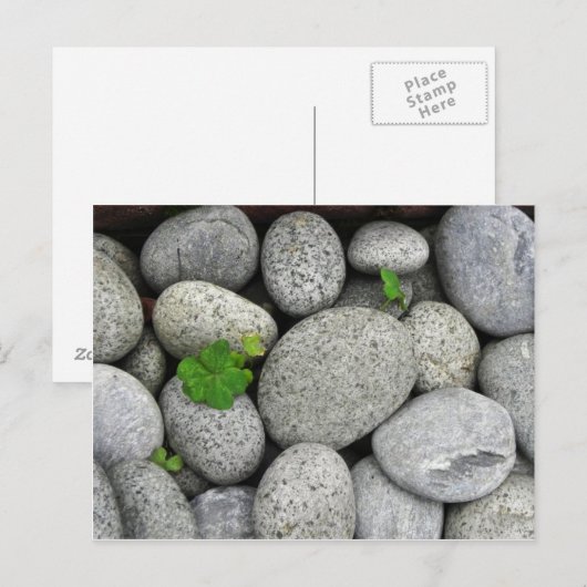 小石 ポストカード (正面/裏面)
