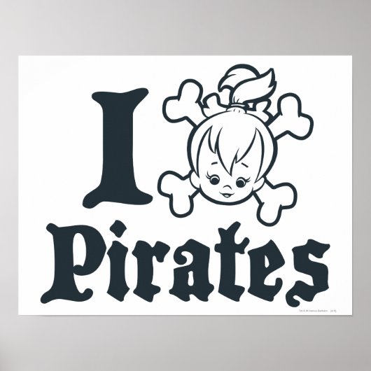 小石™海賊 ポスター (正面)