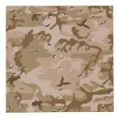 小石、軍隊、陸軍と砂漠カモフラージュ フォトキューブ (正面)