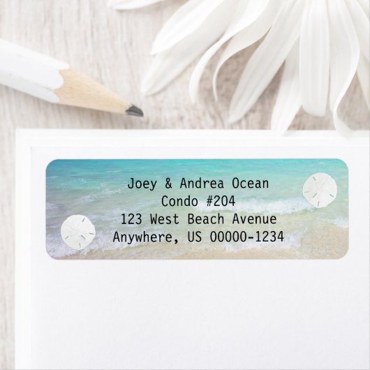 小砂ドル海背景 ラベル (インサイチュ)