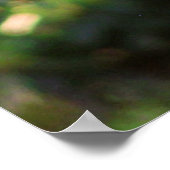 小神楽ポスター ポスター (角)