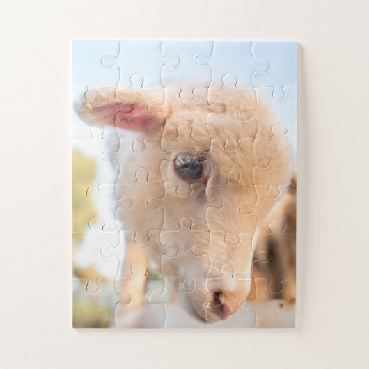 小羊のポートレート ジグソーパズル (縦)