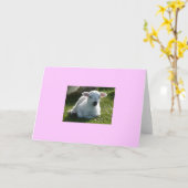 小羊 カード (黄色い花)