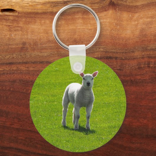 小羊 キーホルダー (正面)