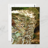 小美しい ポストカード (正面/裏面)