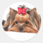 小美しい ラウンドシール (正面)