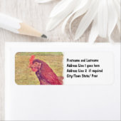 小色彩の鮮やか赤メンドリ ラベル (インサイチュ)