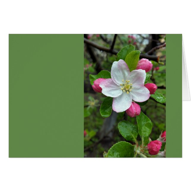 小花に雨が降る (正面横)