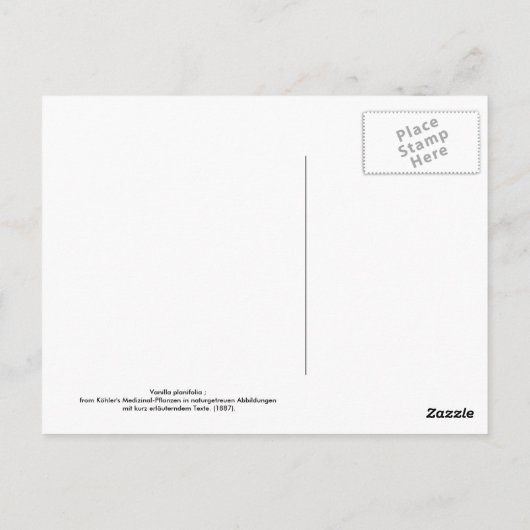 小葉バニラ ポストカード (裏面)