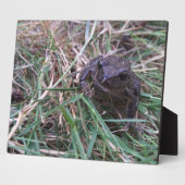 小蛙 フォトプラーク (側面)