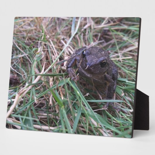 小蛙 フォトプラーク (側面)