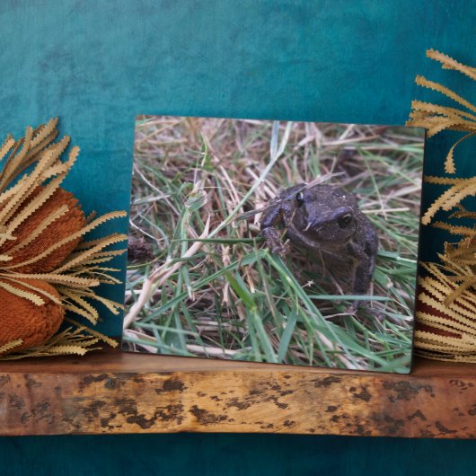 小蛙 フォトプラーク (側面)