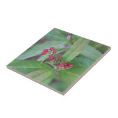 小規模春開花 タイル (側面)