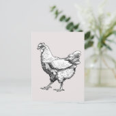 小誇りを持った雌鶏 ポストカード (スタンド正面)