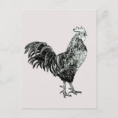 小誇りを持った鶏！ ポストカード (正面)