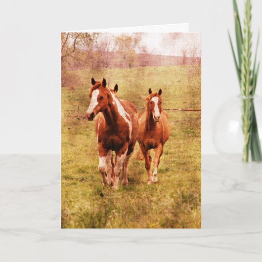 小走りに走っている馬誕生日 カード (正面)