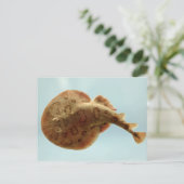 小電気線 ポストカード (スタンド正面)