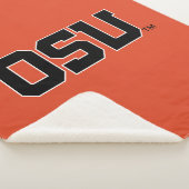 小須 シェルパブランケット (3/4)