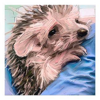 小食べ物を与えさくて孤立したベビーハリネズミ フォトプリント           