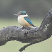 小高原鳥 シール (正面)