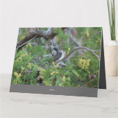 『小鳥ありがとう』 サンキューカード (裏面)