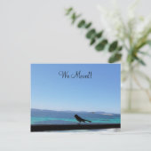 小鳥はがき詳細の変更 ポストカード (スタンド正面)