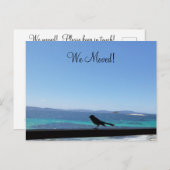 小鳥はがき詳細の変更 ポストカード (正面/裏面)